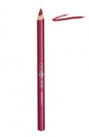 Lipliner - Midnight Plum